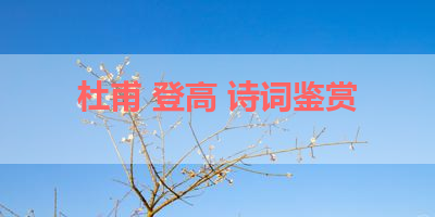 杜甫 登高 诗词鉴赏 