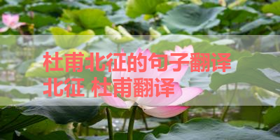 杜甫北征的句子翻译 北征 杜甫翻译