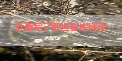 杜甫写了那些首古诗词 