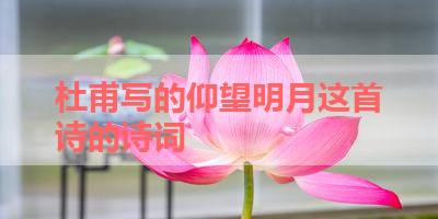 杜甫写的仰望明月这首诗的诗词 