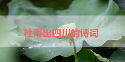 杜甫出四川的诗词 