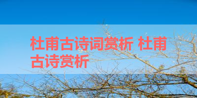 杜甫古诗词赏析 杜甫古诗赏析 