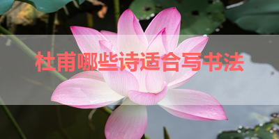 杜甫哪些诗适合写书法 