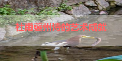 杜甫夔州诗的艺术成就 