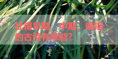 杜甫早期，中期，晚期的古诗有哪些？ 