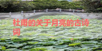 杜甫的关于月亮的古诗词 
