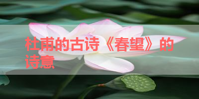 杜甫的古诗《春望》的诗意 