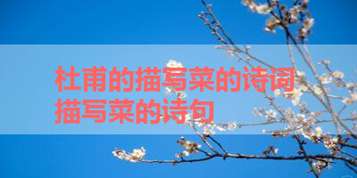 杜甫的描写菜的诗词 描写菜的诗句 