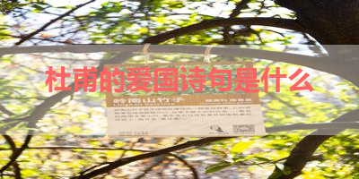 杜甫的爱国诗句是什么 