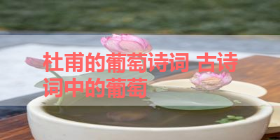 杜甫的葡萄诗词 古诗词中的葡萄 