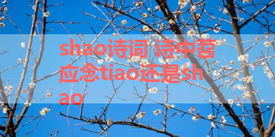 shao诗词 诗中苕应念tiao还是shao 