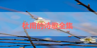 杜甫的诗歌全集 