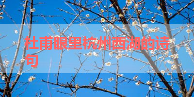 杜甫眼里杭州西湖的诗句 