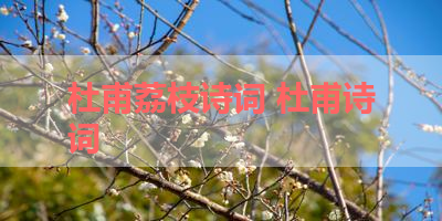 杜甫荔枝诗词 杜甫诗词