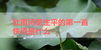 杜甫诗圣生平的第一首快诗是什么- 