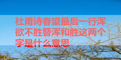 杜甫诗春望最后一行浑欲不胜簪浑和胜这两个字是什么意思 