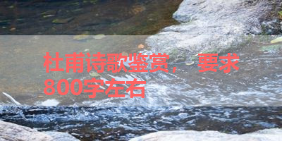 杜甫诗歌鉴赏， 要求800字左右 