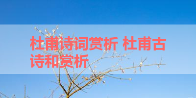 杜甫诗词赏析 杜甫古诗和赏析