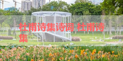 杜甫诗集诗词 杜甫诗集