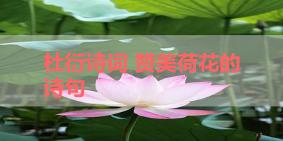 杜衍诗词 赞美荷花的诗句 