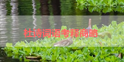 杜诗词语考释商略 