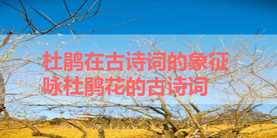 杜鹃在古诗词的象征 咏杜鹃花的古诗词