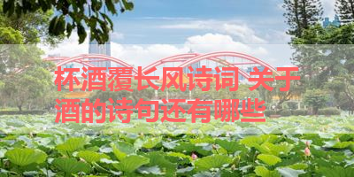 杯酒覆长风诗词 关于酒的诗句还有哪些 