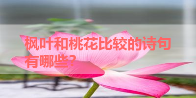 枫叶和桃花比较的诗句有哪些？ 