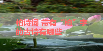 柏诗词 带有“柏”字的古诗有哪些 