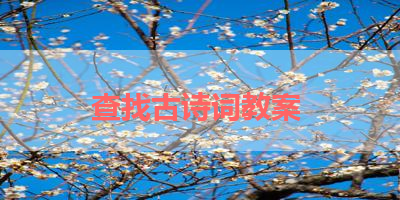 查找古诗词教案 