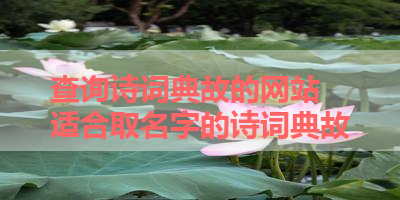 查询诗词典故的网站 适合取名字的诗词典故