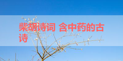 柴胡诗词 含中药的古诗