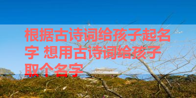 根据古诗词给孩子起名字 想用古诗词给孩子取个名字 