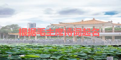 根据毛主席诗词起名 