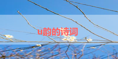 u韵的诗词 