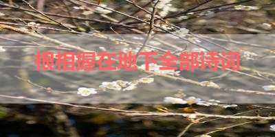 根相握在地下全部诗词 