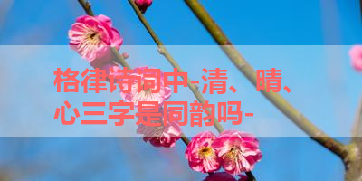 格律诗词中-清、晴、心三字是同韵吗- 