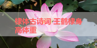 棣体古诗词 王鹤棣身高体重