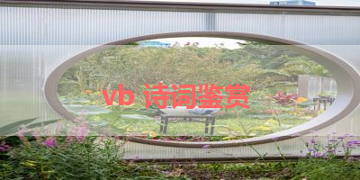 vb 诗词鉴赏 