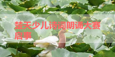 楚天少儿诗词朗诵大赛启事 