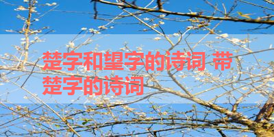 楚字和望字的诗词 带楚字的诗词