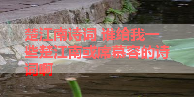 楚江南诗词 谁给我一些楚江南或席慕容的诗词啊 