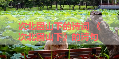 次北固山下的诗词 《次北固山下》的诗句 