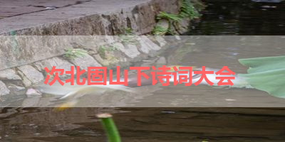 次北固山下诗词大会 