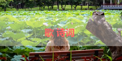 歌 诗词 