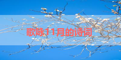 歌咏11月的诗词 