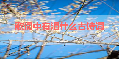 歌词中有泪什么古诗词 