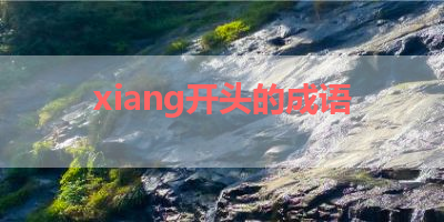 xiang开头的成语 