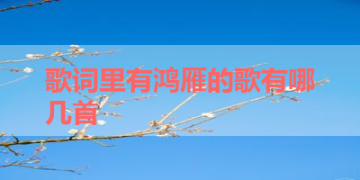 歌词里有鸿雁的歌有哪几首 