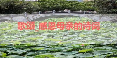 歌颂_感恩母亲的诗词 